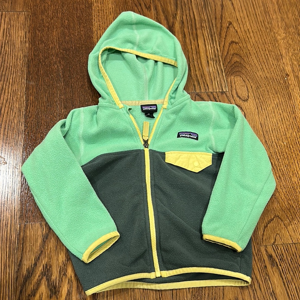 Toddler Patagonia jacket size 2T